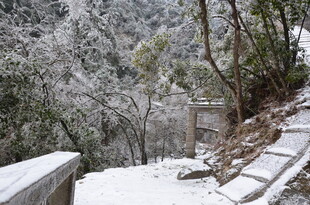 雪覆山林间的静谧小道