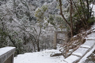 雪覆山林间的古朴石阶