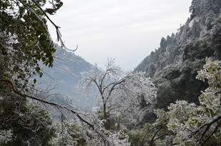 山间雪景 玉树琼枝映山峦
