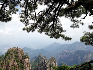 黄山松景下的壮丽山峦
