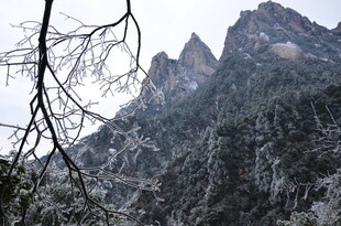 雪覆山峦与枝头景致