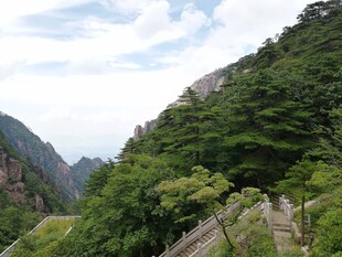 黄山秀丽山间步道景观