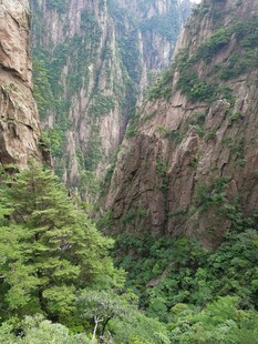 壮丽峡谷间的葱郁山林