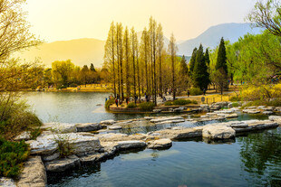 湖畔夕阳下的石径与树林