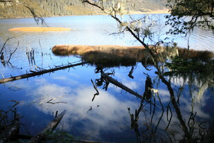 宁静湖面倒映天空与浮木