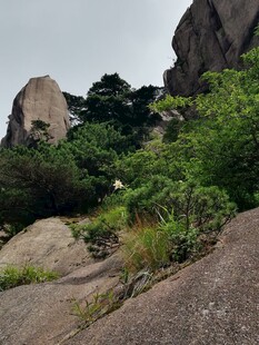 山间奇石与葱郁植被