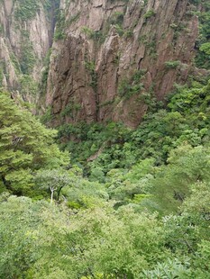 山间翠绿植被与陡峭岩壁