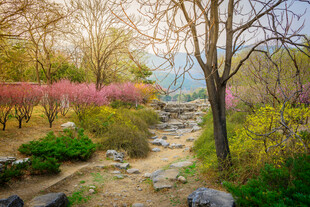 春日烂漫花园小径景色
