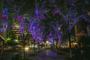 梦幻灯光装点的璀璨街道