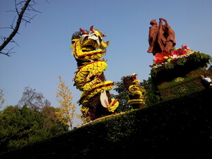 传统舞龙表演场景