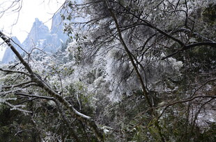 雪覆山林 山间景致清幽
