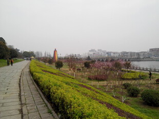 湖畔步道旁的多彩绿植景观