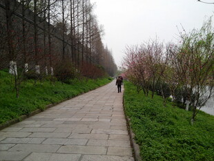 春日河畔漫步小道