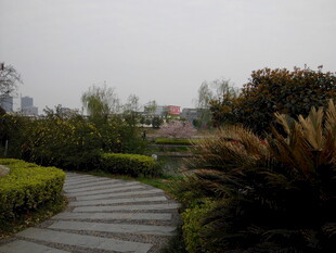 园林小径 绿植环绕景致美