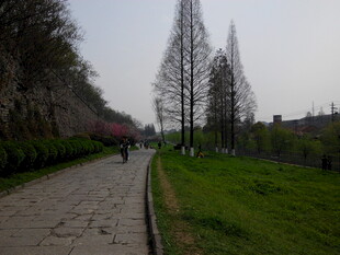 春日林间漫步小道