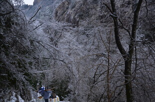 雪覆山林间的徒步之旅