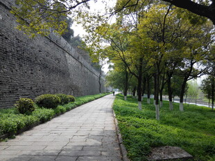 古城墙边的林荫步道