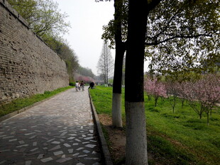 春日城墙边的幽静小路