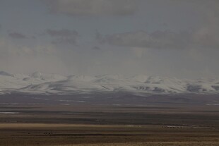 广袤原野与远处雪山