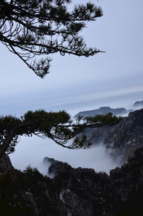 山间松景 云雾缭绕之美