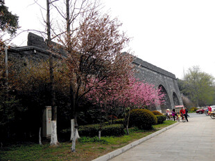 春日古城边盛开的烂漫繁花