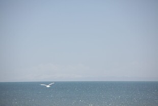 海上船只航行景象