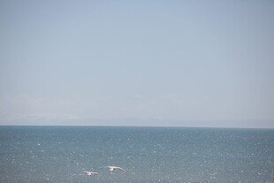 广阔海面的宁静景象