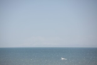 广阔海面与空中飞鸟