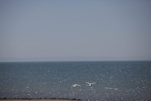 广阔海面 天际线清晰