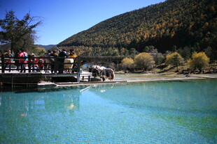 湖畔码头人群与山水美景