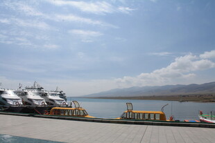 港口船只停靠景象