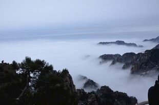 云海中的山峦景观