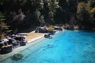 清澈蓝池旁的自然景致