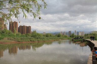 河畔风光 自然与建筑相映