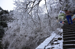 雪覆山林中的登山步道