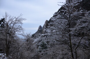 雪覆山林的冬日美景