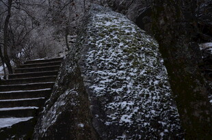 雪覆山石旁的林间石阶