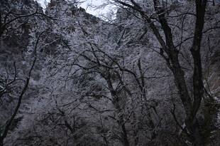 雪覆山林 山景清幽