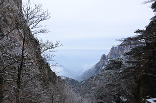 雪覆山峦间的壮美峡谷