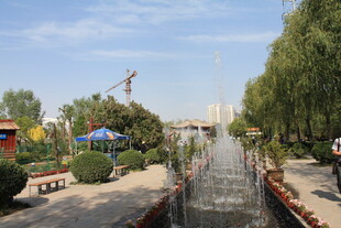 公园内的水景与游乐设施