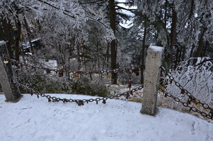 雪覆树林中的古老墓碑
