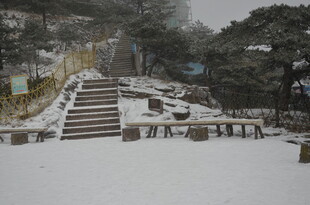 雪覆石阶的静谧山间景色