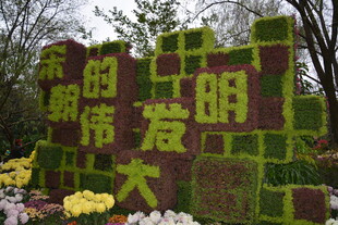 植物拼成的友爱主题景观