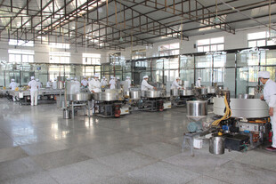 现代化工厂内部生产场景