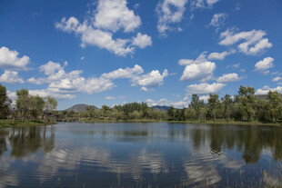 宁静湖畔风光