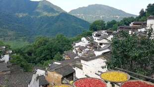 山间多彩村落景观