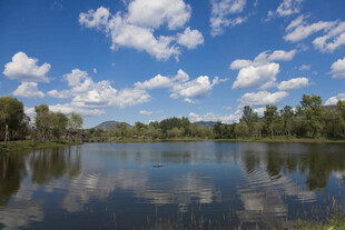 宁静湖畔风光