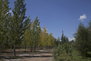 秋日林间小道美景