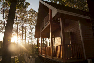 阳光照耀下的林间木屋