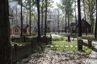 林间木屋 宁静惬意景致